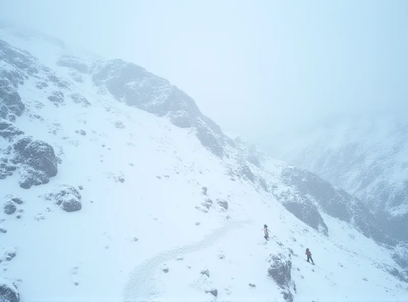 A dramatic aerial view of a snow-covered mountain range with rescue workers and equipment visible on a lower slope, indicating the location of an avalanche.