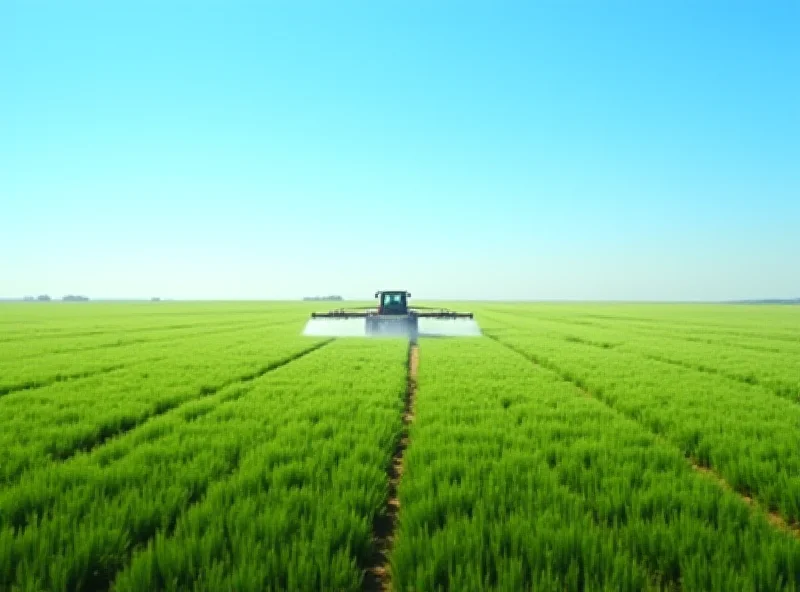 A vast field of crops with a tractor spraying pesticides under a blue sky.