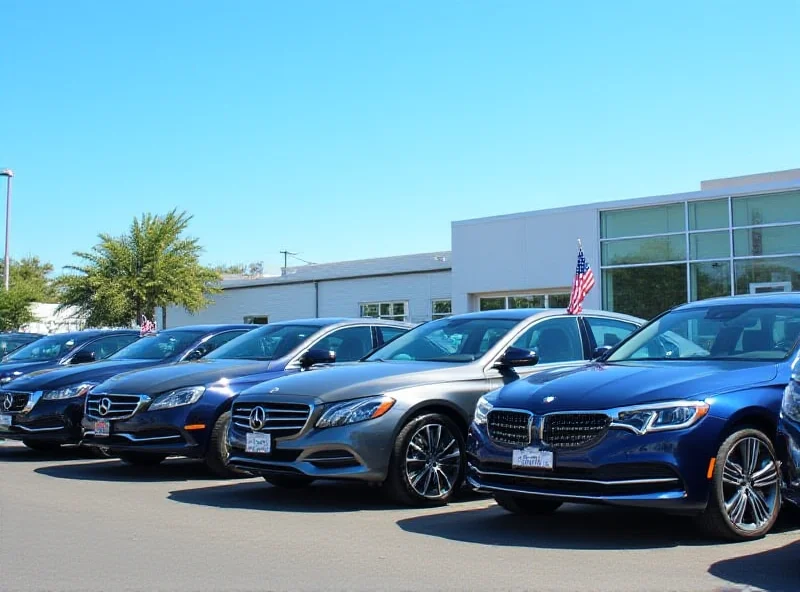 Rows of brand new Stellantis cars are displayed on a large lot. The cars are diverse in make and model, showcasing the company's wide range of vehicles.