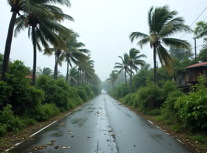 A street scene in Réunion with palm trees bent severely by strong winds and rain.