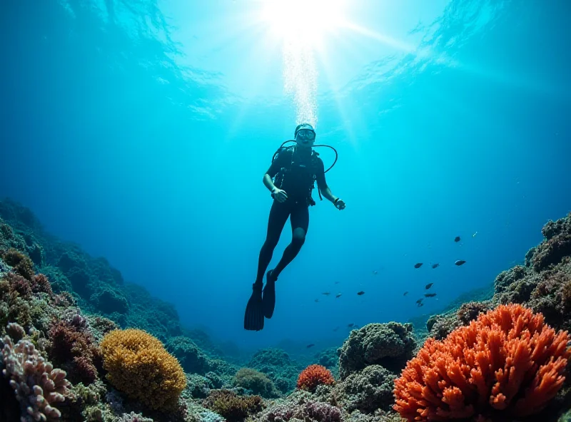 Image of a scuba diver underwater in clear blue water, surrounded by colorful coral reef.