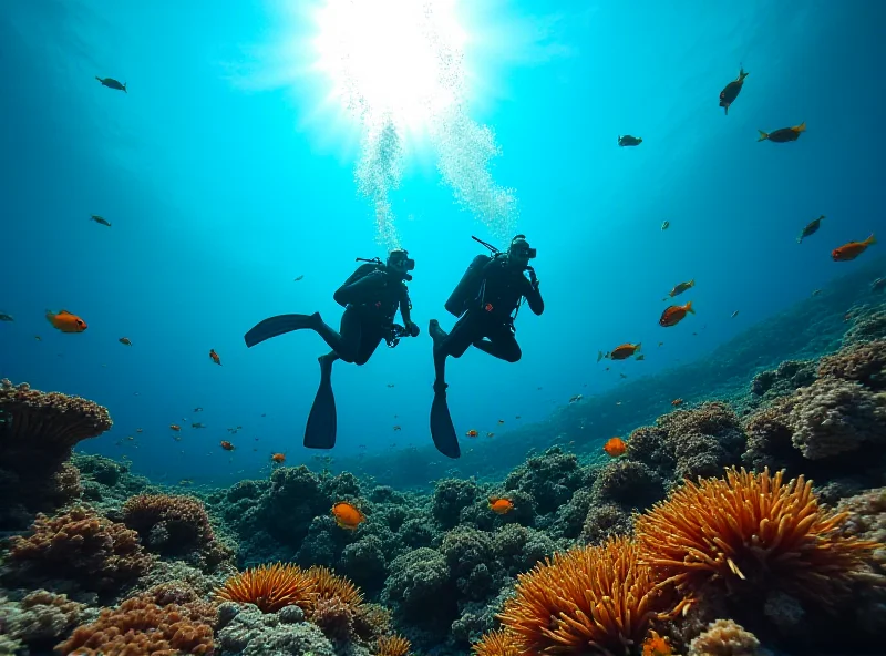 Scuba divers exploring a coral reef in the Philippines.