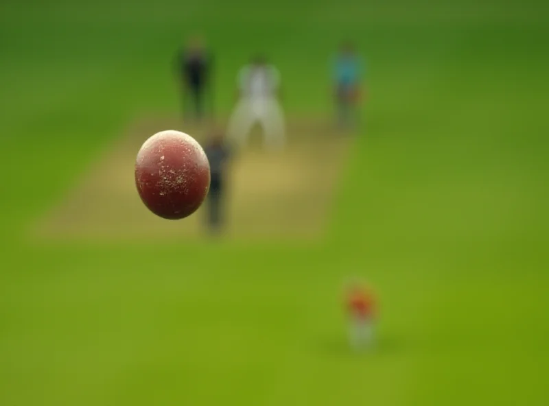 Close up of cricket ball being bowled during a match.