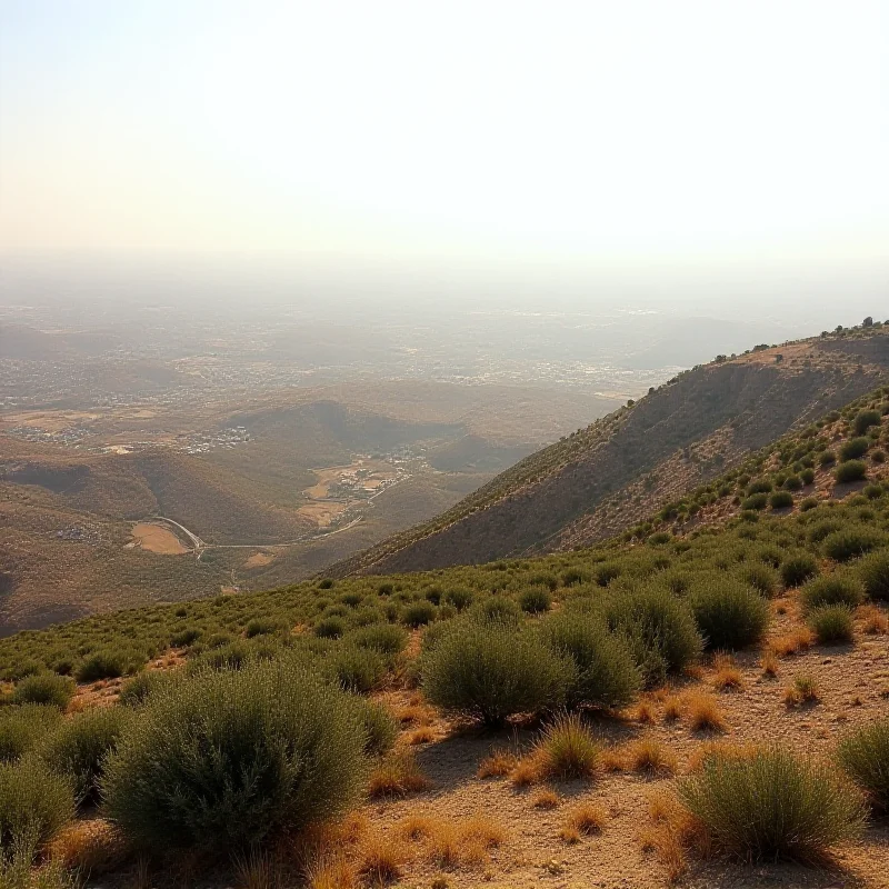 Image of the West Bank