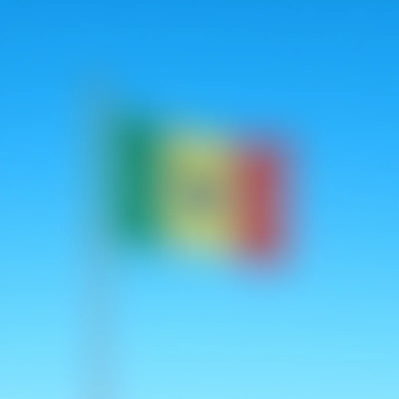 Bolivian flag at half-mast