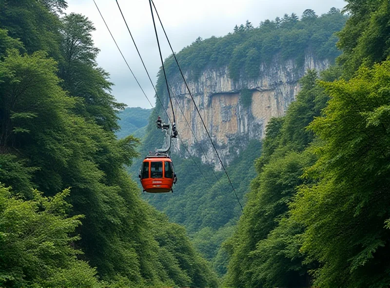 A modern cable car ascending a steep slope towards a dramatic limestone cliff face, surrounded by lush green forest.