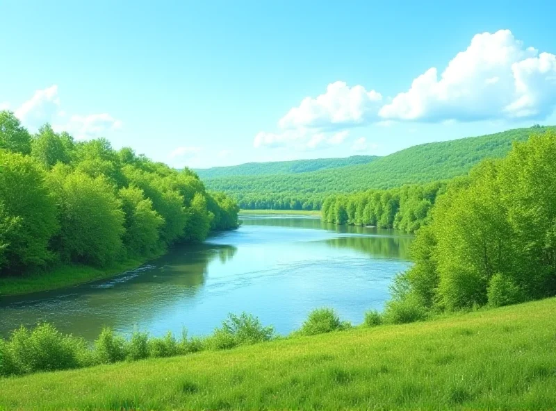 A scenic view of the Morava and Dyje rivers confluence with lush greenery and a clear blue sky.