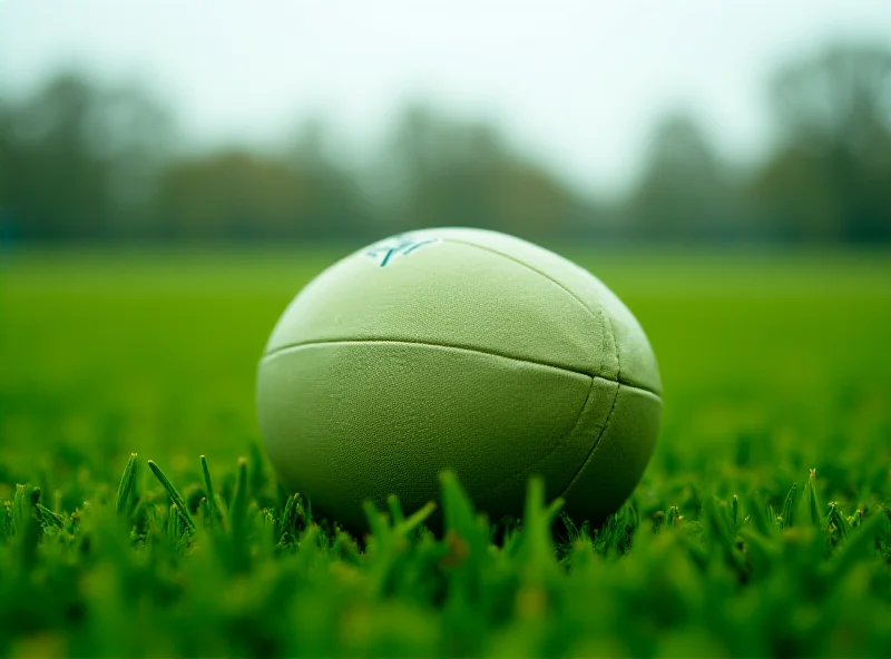 Rugby ball on a field