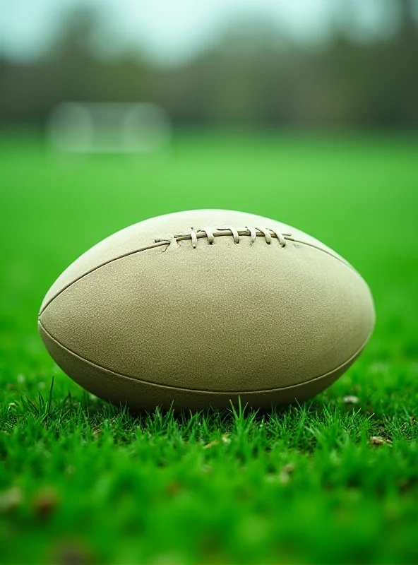 Rugby ball on a field