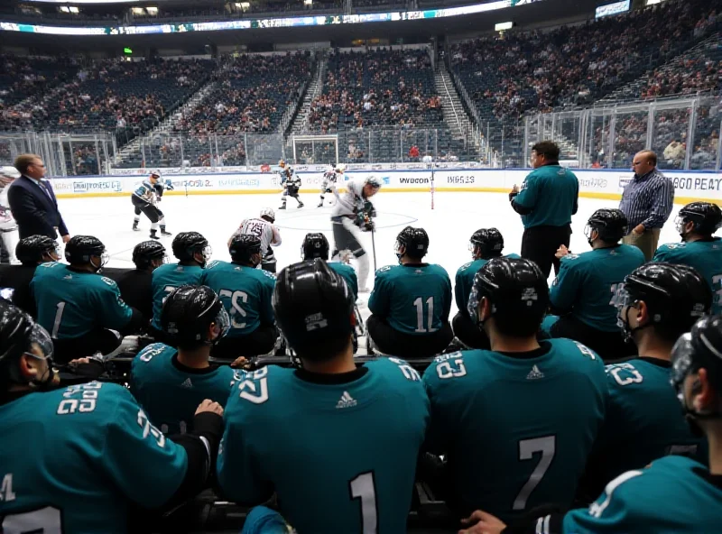 View of the San Jose Sharks' bench during a game, showing players and coaches
