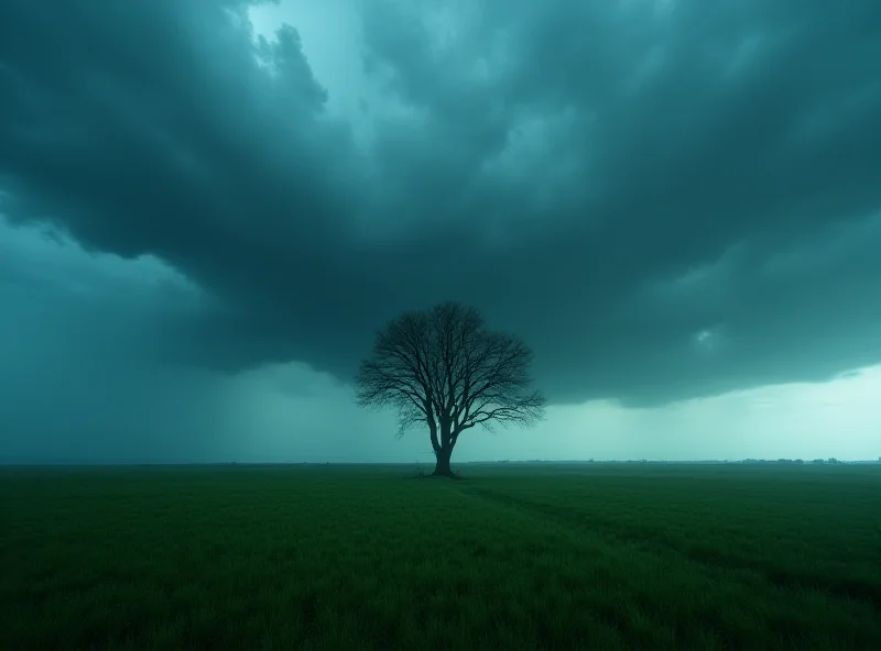 A dark storm cloud over a field in Poland, with a lone tree silhouetted against the dramatic sky.