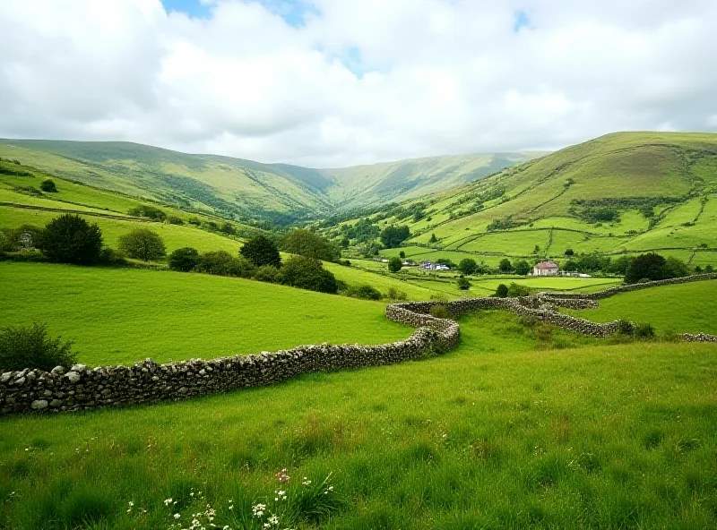 A lush green Irish landscape with rolling hills and a stone cottage in the distance.