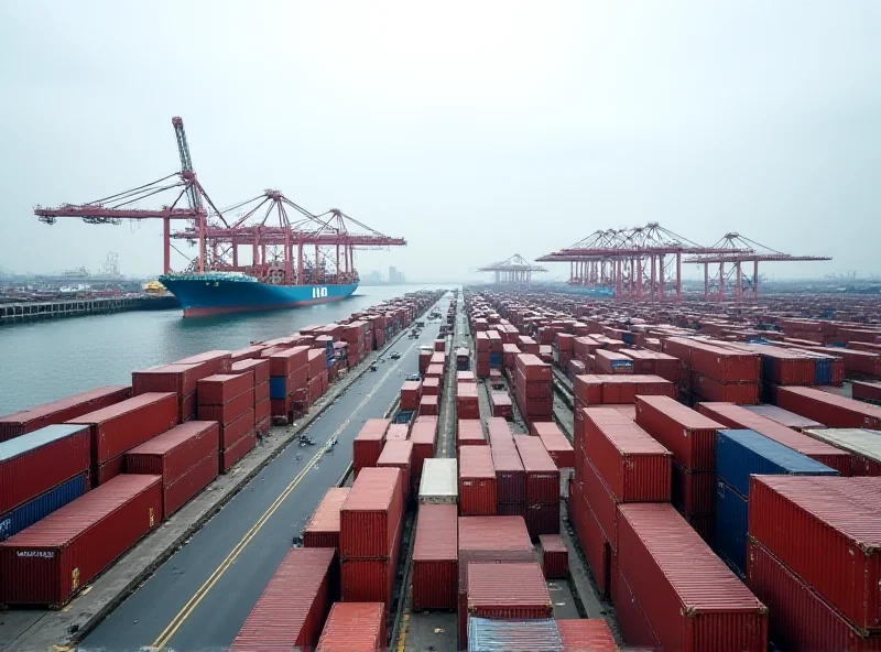 Image of shipping containers at a port in China