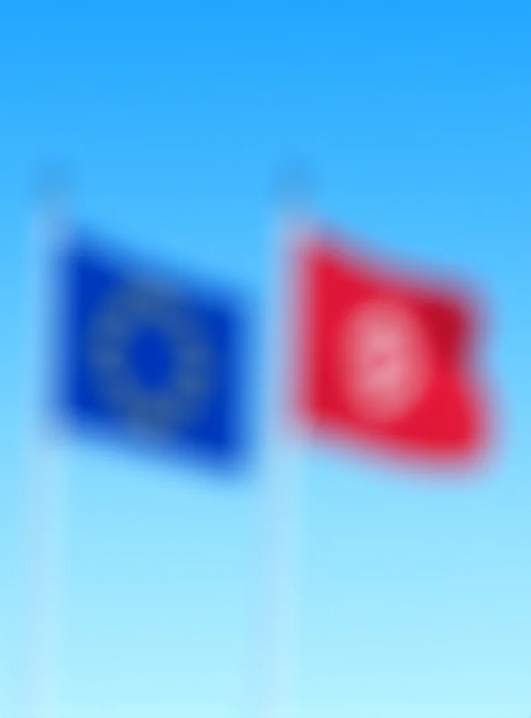 European Union and Tunisian flags flying side by side, symbolizing the partnership between the two entities.
