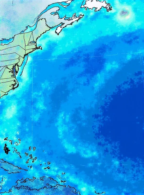 Satellite image of the Gulf Stream flowing along the American East Coast.