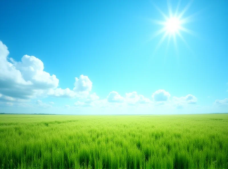 A sunny landscape with blue sky and fluffy white clouds.