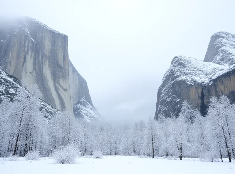 Snow-covered Yosemite landscape